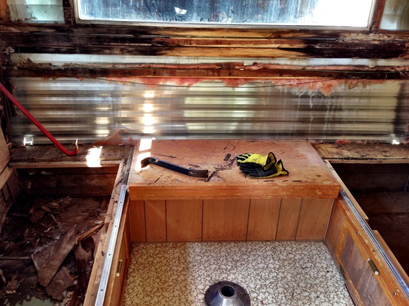 I also removed armfuls of moldy insulation...