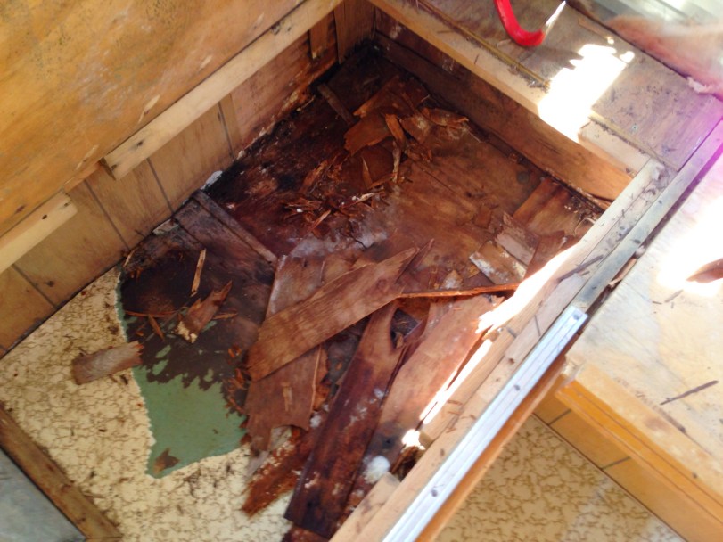 Definitely going to need some floor repairs in these back corner areas.