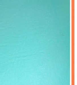 I chose Naugahyde vinyl in “Ocean” and “Marmalade” shades.